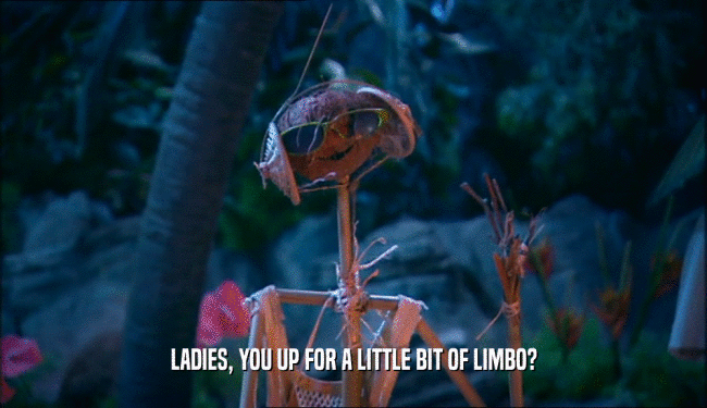 LADIES, YOU UP FOR A LITTLE BIT OF LIMBO?  