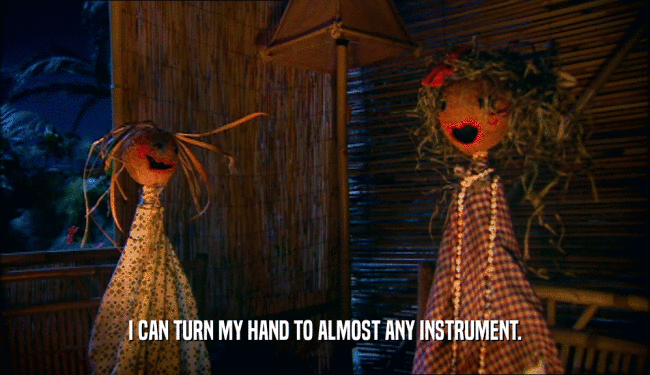 I CAN TURN MY HAND TO ALMOST ANY INSTRUMENT.  