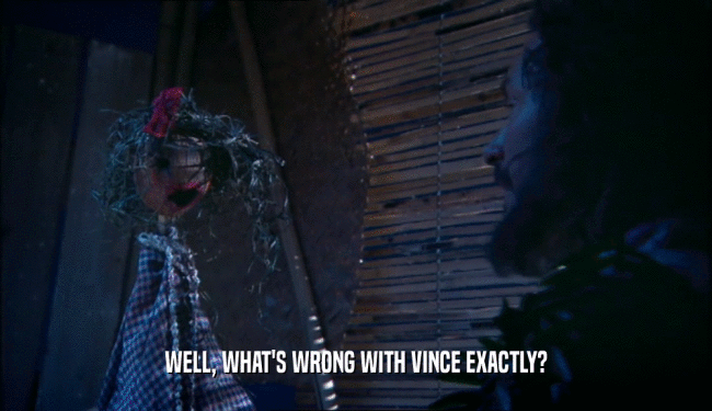 WELL, WHAT'S WRONG WITH VINCE EXACTLY?
  