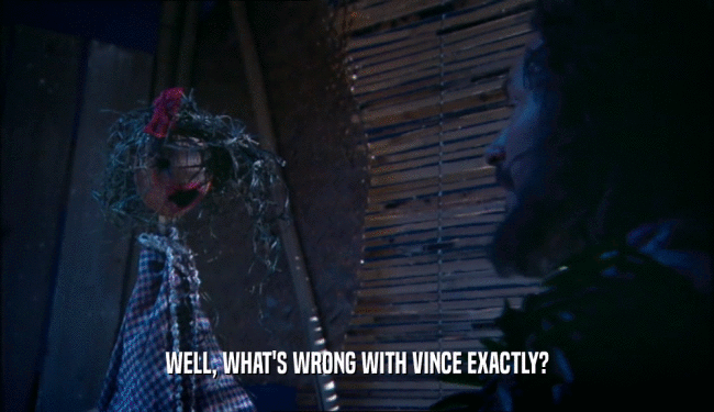 WELL, WHAT'S WRONG WITH VINCE EXACTLY?  