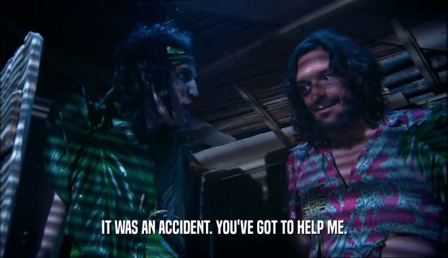 IT WAS AN ACCIDENT. YOU'VE GOT TO HELP ME.  