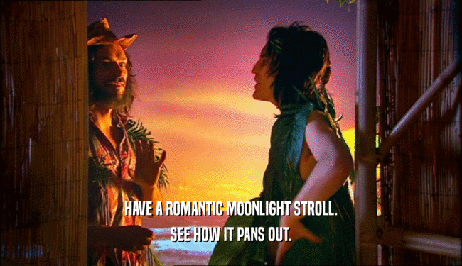 HAVE A ROMANTIC MOONLIGHT STROLL.
 SEE HOW IT PANS OUT.
 