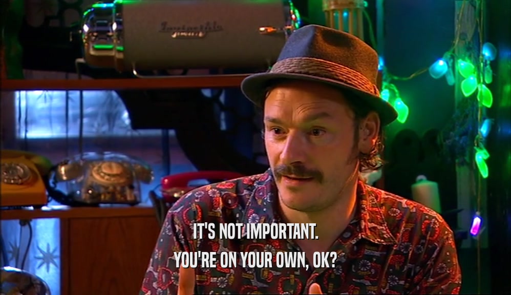 IT'S NOT IMPORTANT. YOU'RE ON YOUR OWN, OK? 