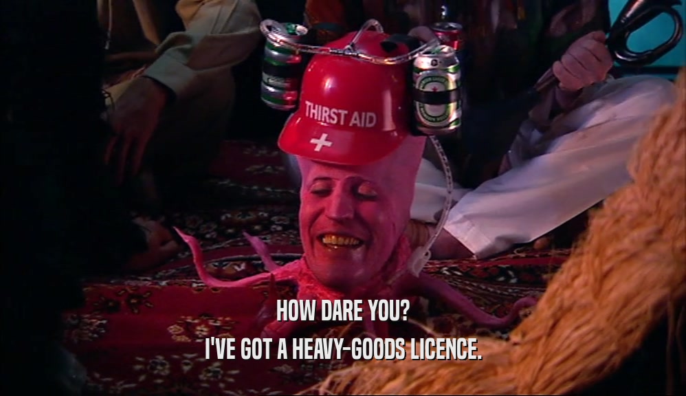 HOW DARE YOU? I'VE GOT A HEAVY-GOODS LICENCE. 