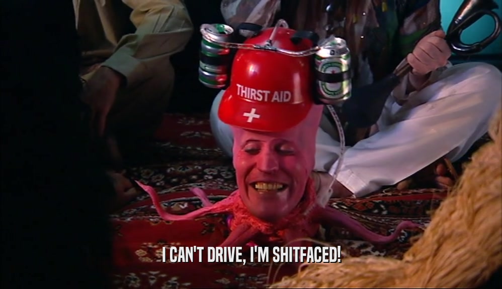 I CAN'T DRIVE, I'M SHITFACED!  