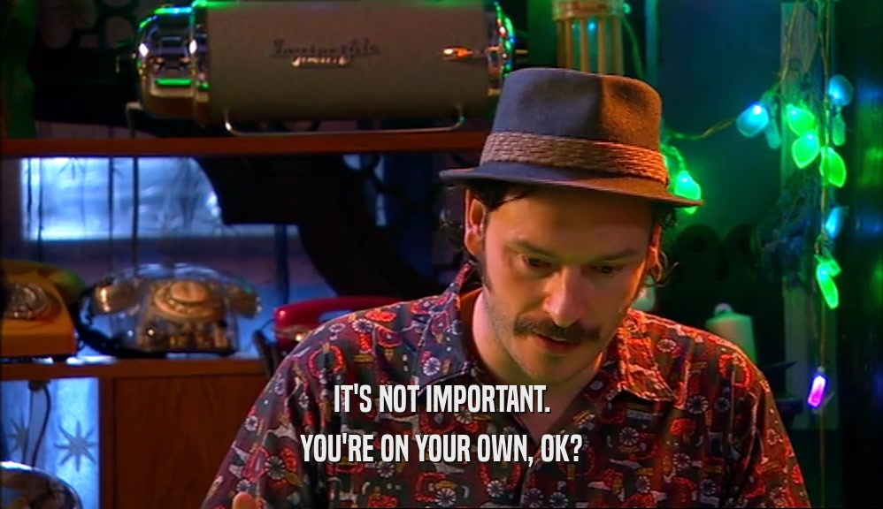 IT'S NOT IMPORTANT. YOU'RE ON YOUR OWN, OK? 