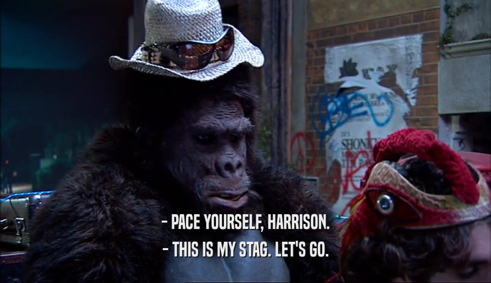 - PACE YOURSELF, HARRISON. - THIS IS MY STAG. LET'S GO. 