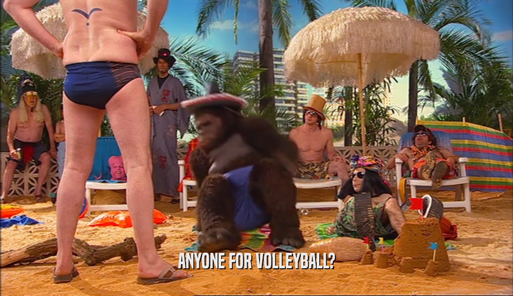 ANYONE FOR VOLLEYBALL?  