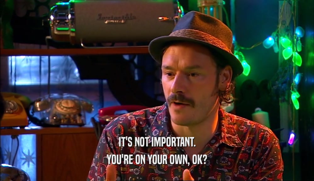 IT'S NOT IMPORTANT. YOU'RE ON YOUR OWN, OK? 