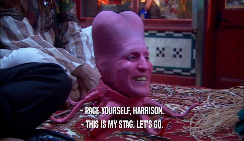 - PACE YOURSELF, HARRISON. - THIS IS MY STAG. LET'S GO. 