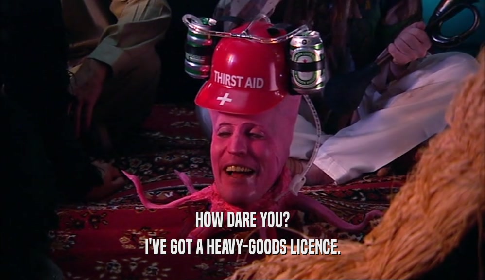 HOW DARE YOU? I'VE GOT A HEAVY-GOODS LICENCE. 