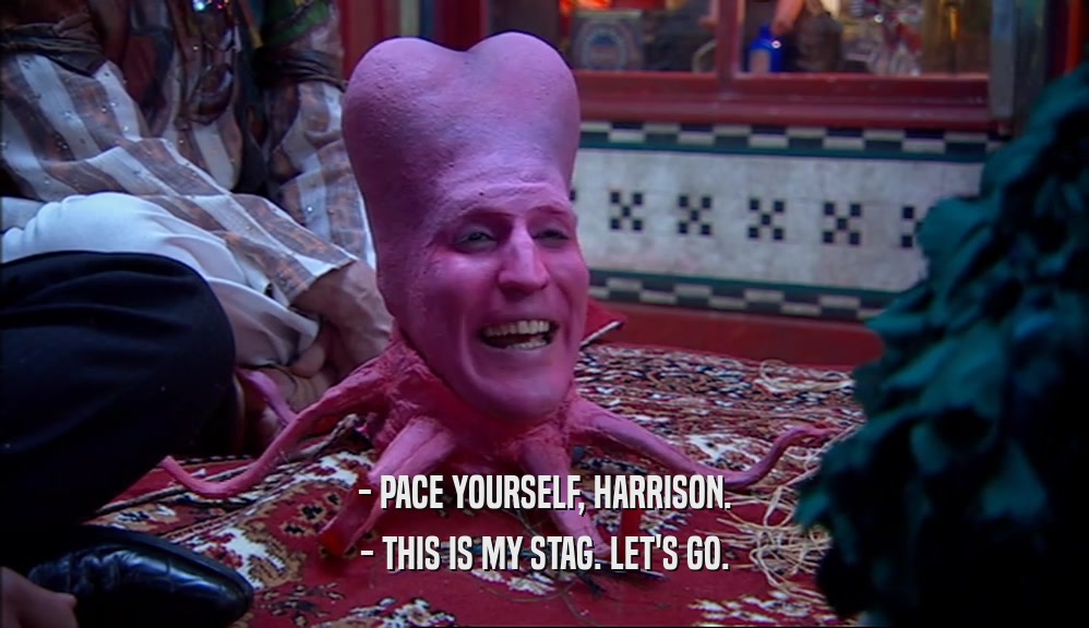 - PACE YOURSELF, HARRISON. - THIS IS MY STAG. LET'S GO. 