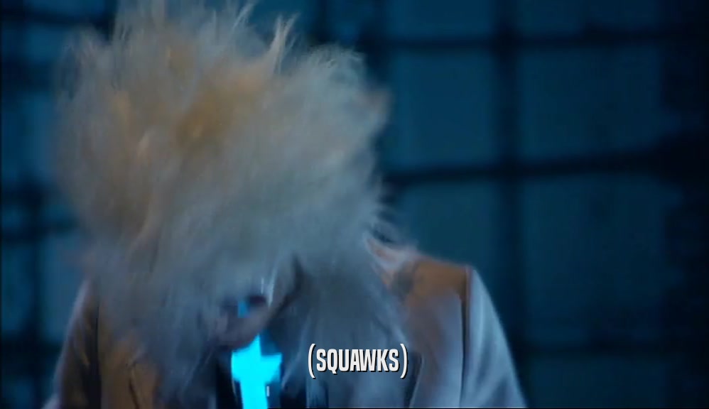 (SQUAWKS)  