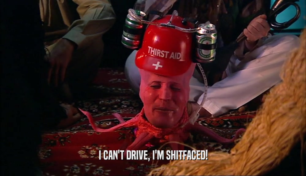 I CAN'T DRIVE, I'M SHITFACED!
  