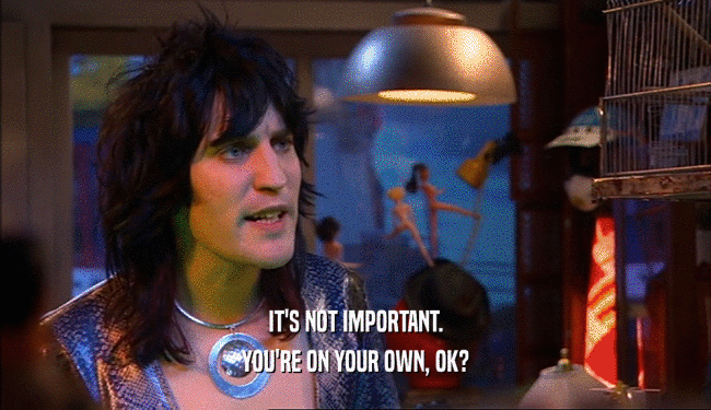 IT'S NOT IMPORTANT. YOU'RE ON YOUR OWN, OK? 