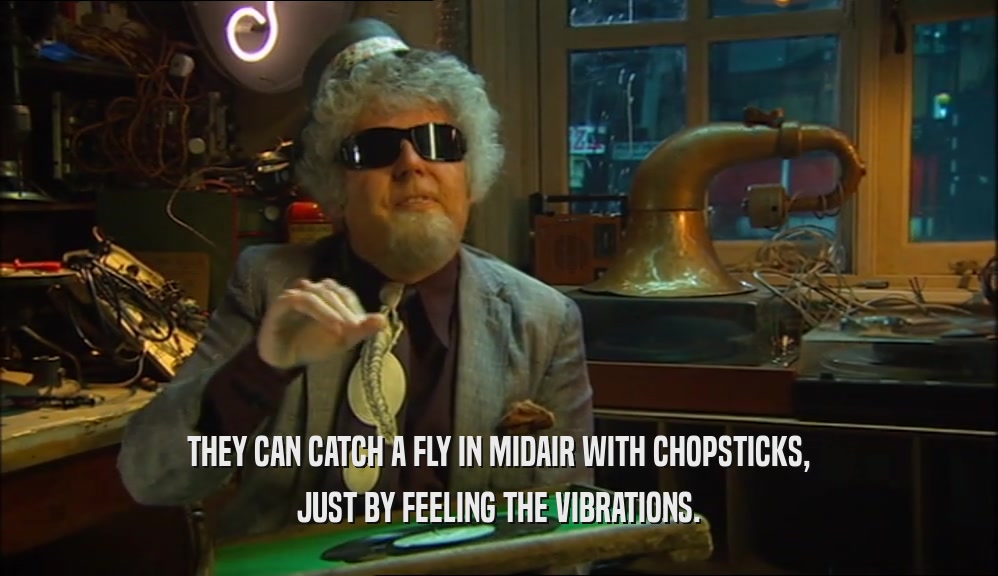 THEY CAN CATCH A FLY IN MIDAIR WITH CHOPSTICKS, JUST BY FEELING THE VIBRATIONS. 