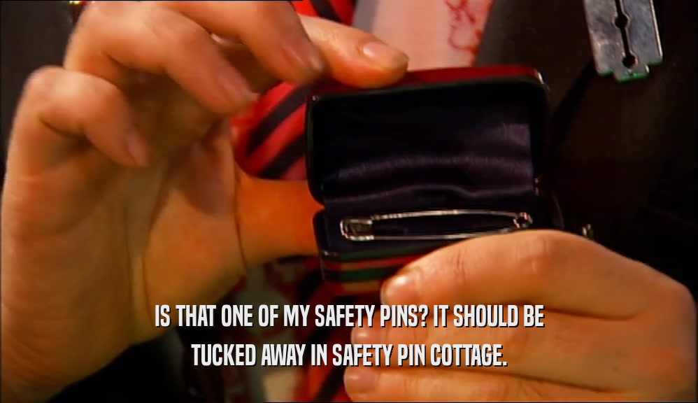 IS THAT ONE OF MY SAFETY PINS? IT SHOULD BE TUCKED AWAY IN SAFETY PIN COTTAGE. 