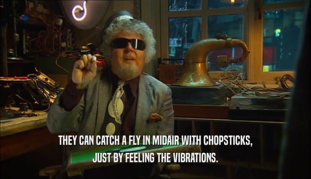 THEY CAN CATCH A FLY IN MIDAIR WITH CHOPSTICKS, JUST BY FEELING THE VIBRATIONS. 