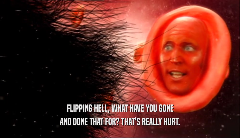 FLIPPING HELL, WHAT HAVE YOU GONE AND DONE THAT FOR? THAT'S REALLY HURT. 