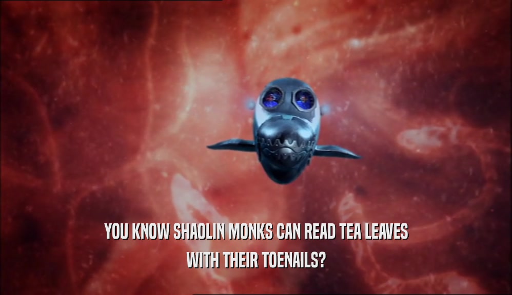 YOU KNOW SHAOLIN MONKS CAN READ TEA LEAVES WITH THEIR TOENAILS? 
