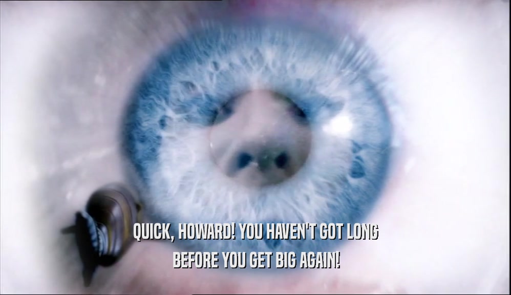 QUICK, HOWARD! YOU HAVEN'T GOT LONG BEFORE YOU GET BIG AGAIN! 