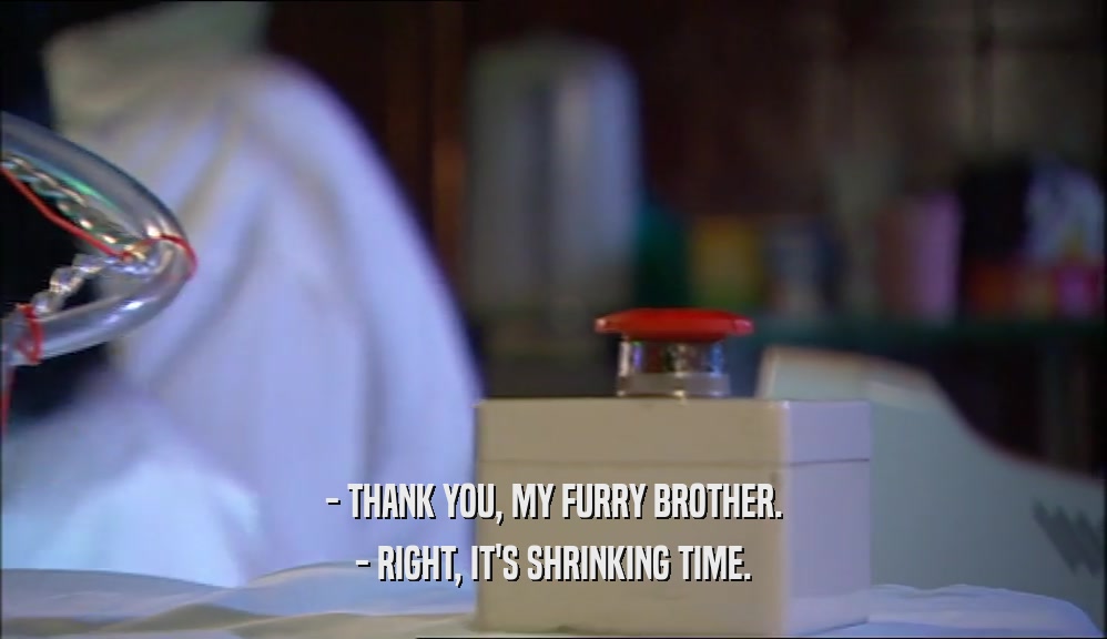 - THANK YOU, MY FURRY BROTHER. - RIGHT, IT'S SHRINKING TIME. 