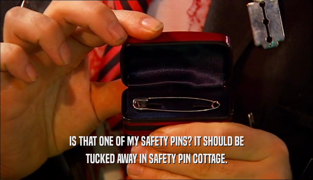 IS THAT ONE OF MY SAFETY PINS? IT SHOULD BE
 TUCKED AWAY IN SAFETY PIN COTTAGE.
 
