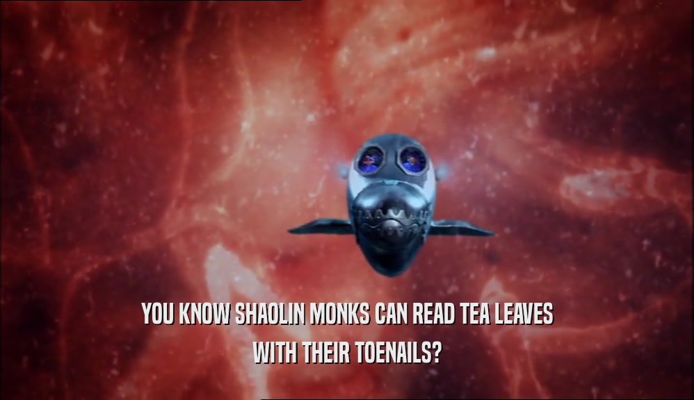 YOU KNOW SHAOLIN MONKS CAN READ TEA LEAVES WITH THEIR TOENAILS? 