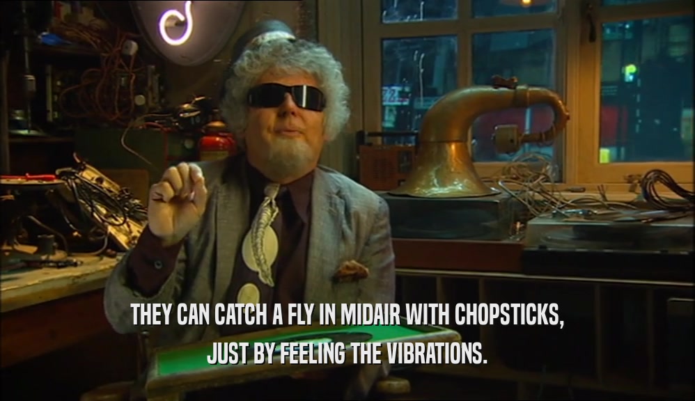 THEY CAN CATCH A FLY IN MIDAIR WITH CHOPSTICKS, JUST BY FEELING THE VIBRATIONS. 