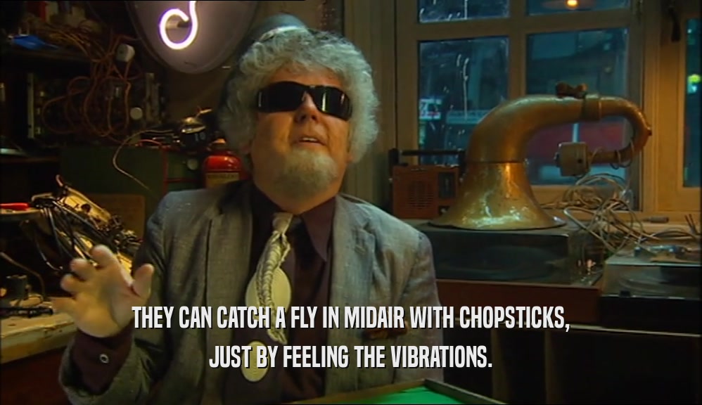 THEY CAN CATCH A FLY IN MIDAIR WITH CHOPSTICKS, JUST BY FEELING THE VIBRATIONS. 