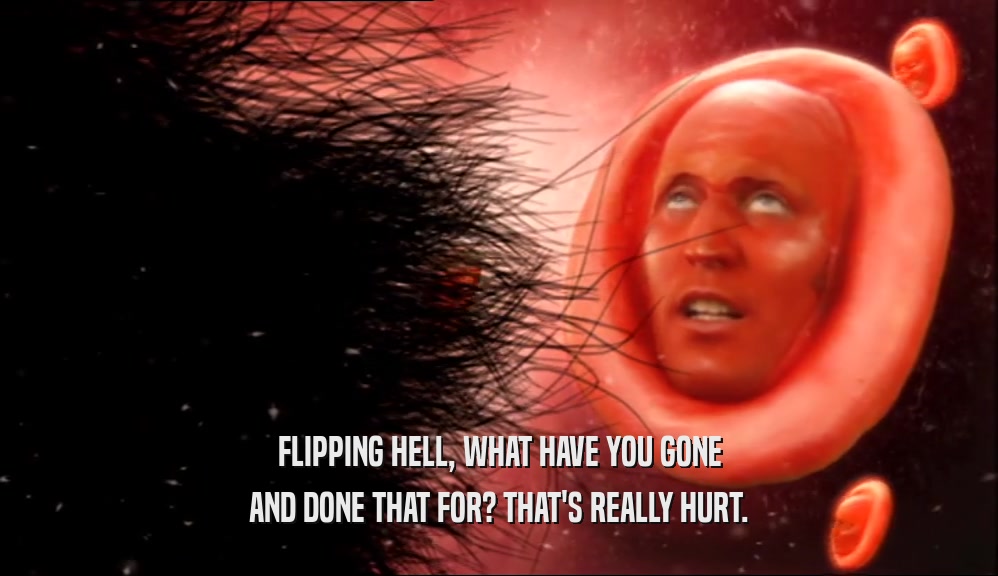 FLIPPING HELL, WHAT HAVE YOU GONE AND DONE THAT FOR? THAT'S REALLY HURT. 