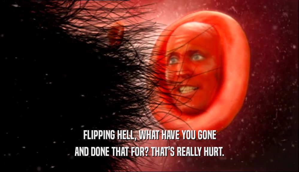 FLIPPING HELL, WHAT HAVE YOU GONE AND DONE THAT FOR? THAT'S REALLY HURT. 
