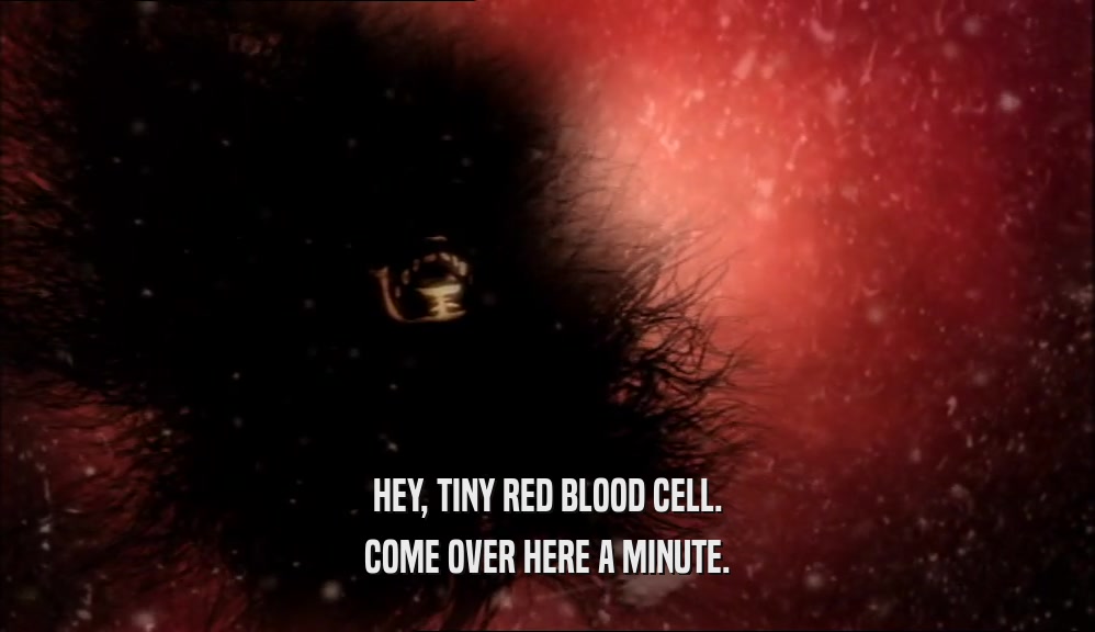 HEY, TINY RED BLOOD CELL. COME OVER HERE A MINUTE. 