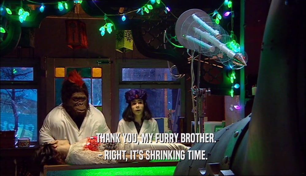- THANK YOU, MY FURRY BROTHER. - RIGHT, IT'S SHRINKING TIME. 