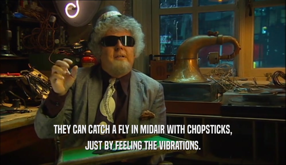 THEY CAN CATCH A FLY IN MIDAIR WITH CHOPSTICKS, JUST BY FEELING THE VIBRATIONS. 