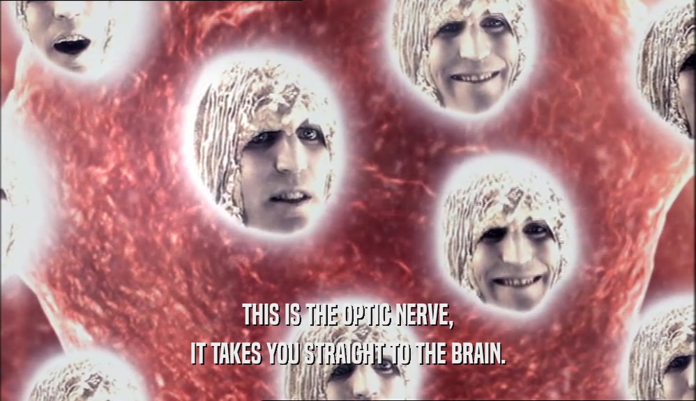 THIS IS THE OPTIC NERVE, IT TAKES YOU STRAIGHT TO THE BRAIN. 