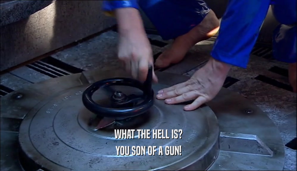 WHAT THE HELL IS? YOU SON OF A GUN! 