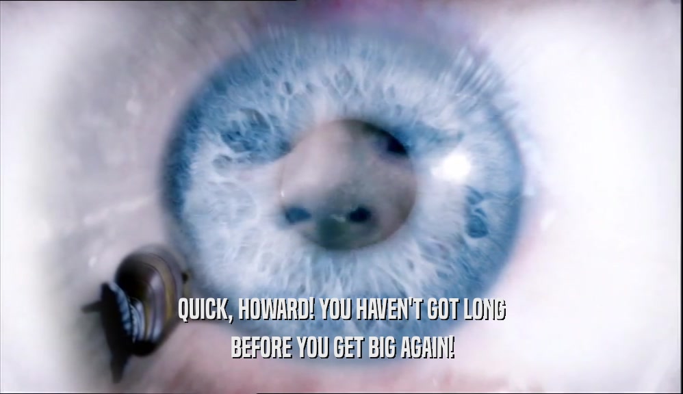 QUICK, HOWARD! YOU HAVEN'T GOT LONG BEFORE YOU GET BIG AGAIN! 