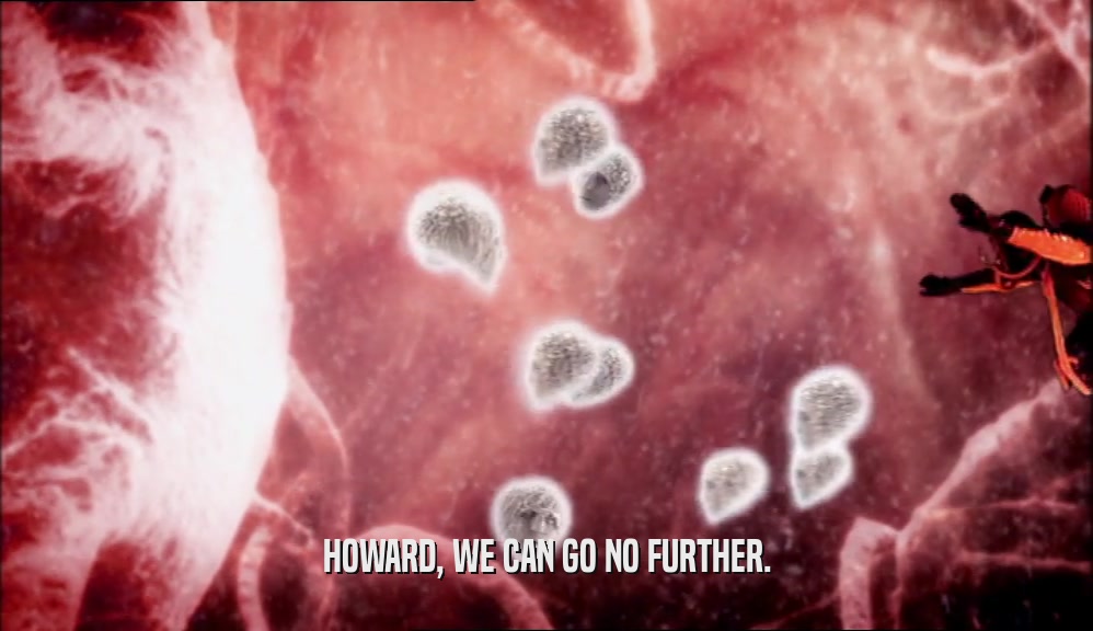 HOWARD, WE CAN GO NO FURTHER.  