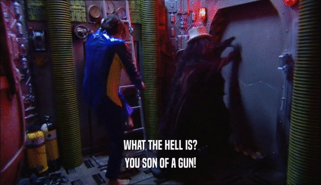 WHAT THE HELL IS? YOU SON OF A GUN! 
