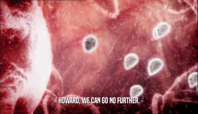 HOWARD, WE CAN GO NO FURTHER.  