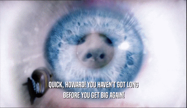 QUICK, HOWARD! YOU HAVEN'T GOT LONG BEFORE YOU GET BIG AGAIN! 