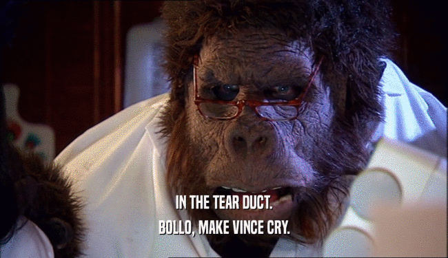 IN THE TEAR DUCT. BOLLO, MAKE VINCE CRY. 