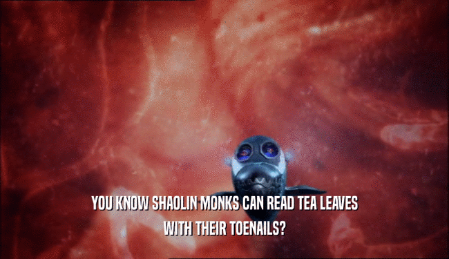 YOU KNOW SHAOLIN MONKS CAN READ TEA LEAVES
 WITH THEIR TOENAILS?
 