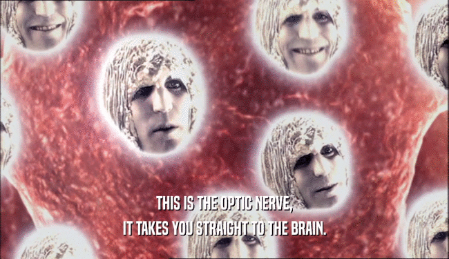 THIS IS THE OPTIC NERVE, IT TAKES YOU STRAIGHT TO THE BRAIN. 
