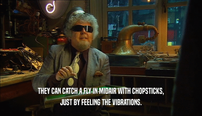 THEY CAN CATCH A FLY IN MIDAIR WITH CHOPSTICKS, JUST BY FEELING THE VIBRATIONS. 