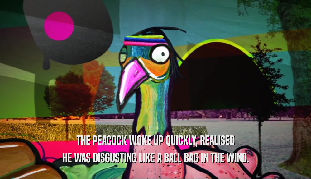 THE PEACOCK WOKE UP QUICKLY, REALISED HE WAS DISGUSTING LIKE A BALL BAG IN THE WIND. 