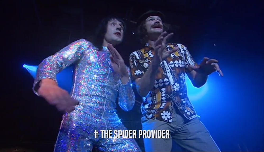 # THE SPIDER PROVIDER  