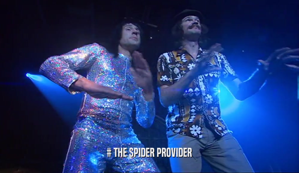 # THE SPIDER PROVIDER  