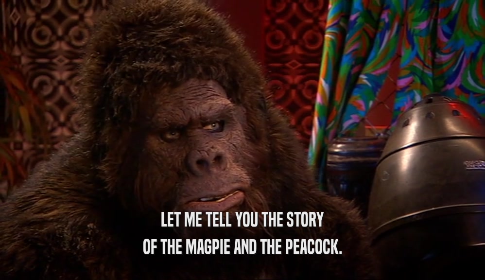 LET ME TELL YOU THE STORY OF THE MAGPIE AND THE PEACOCK. 